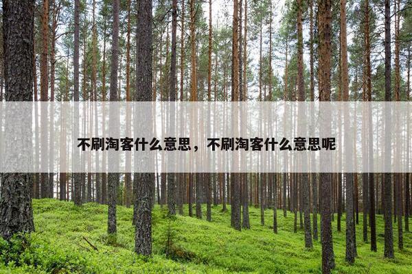 不刷淘客什么意思，不刷淘客什么意思呢