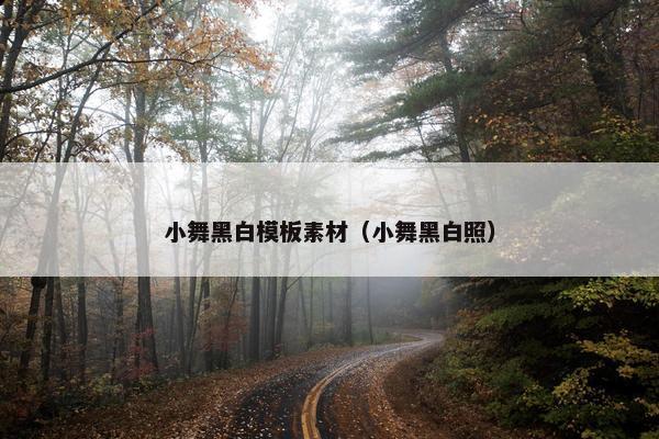 小舞黑白模板素材（小舞黑白照）