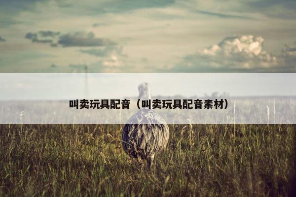 叫卖玩具配音（叫卖玩具配音素材）