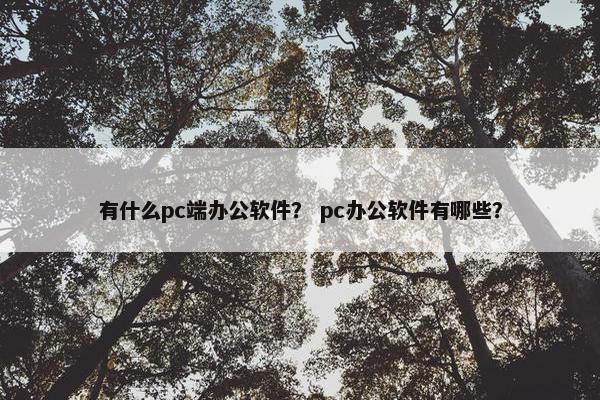 有什么pc端办公软件？ pc办公软件有哪些？