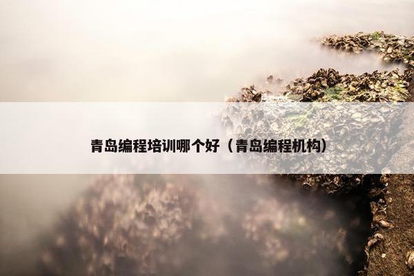 青岛编程培训哪个好（青岛编程机构）