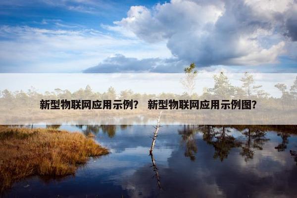 新型物联网应用示例？ 新型物联网应用示例图？