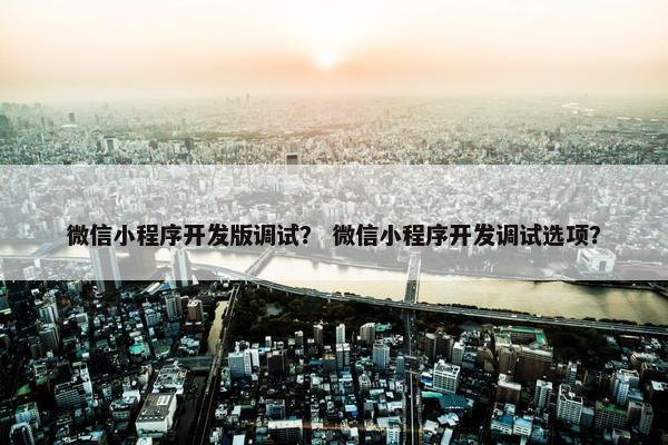 微信小程序开发版调试？ 微信小程序开发调试选项？