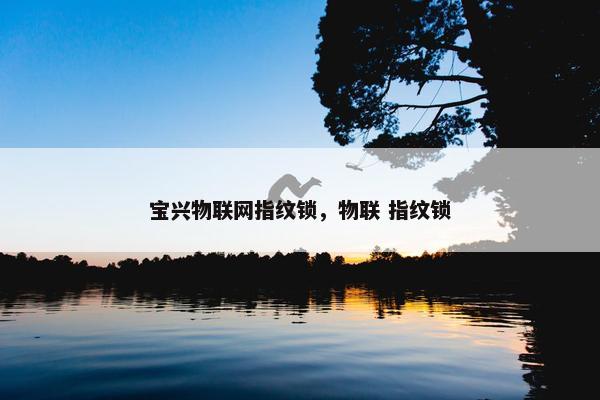 宝兴物联网指纹锁，物联 指纹锁