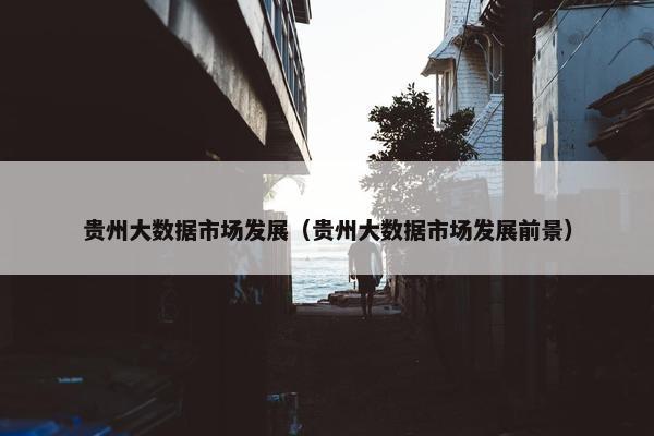 贵州大数据市场发展（贵州大数据市场发展前景）