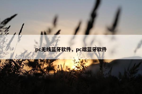 pc无线蓝牙软件，pc端蓝牙软件