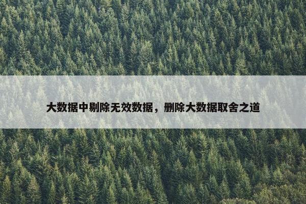 大数据中剔除无效数据，删除大数据取舍之道
