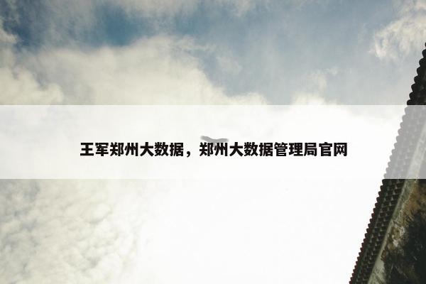 王军郑州大数据，郑州大数据管理局官网