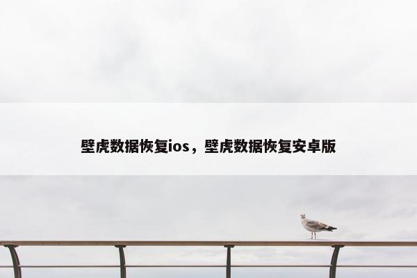 壁虎数据恢复ios，壁虎数据恢复安卓版
