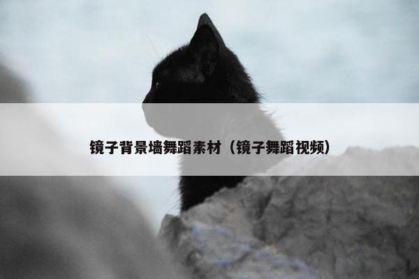 镜子背景墙舞蹈素材（镜子舞蹈视频）