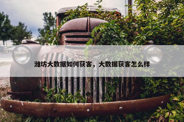 潍坊大数据如何获客，大数据获客怎么样
