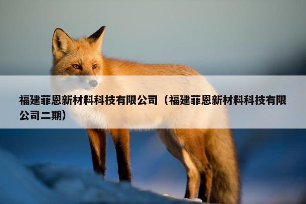 福建菲恩新材料科技有限公司（福建菲恩新材料科技有限公司二期）