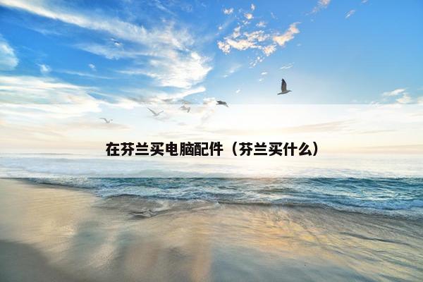 在芬兰买电脑配件（芬兰买什么）