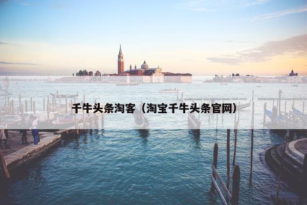千牛头条淘客（淘宝千牛头条官网）