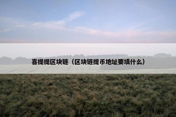 喜提提区块链（区块链提币地址要填什么）