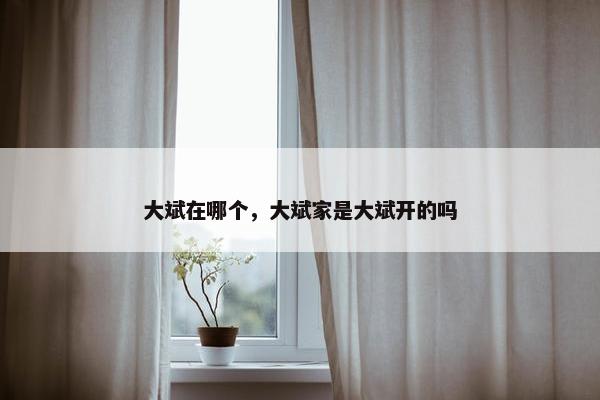 大斌在哪个，大斌家是大斌开的吗