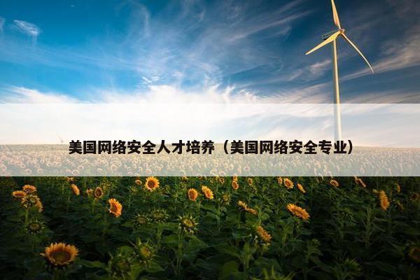 美国网络安全人才培养（美国网络安全专业）