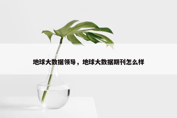 地球大数据领导，地球大数据期刊怎么样
