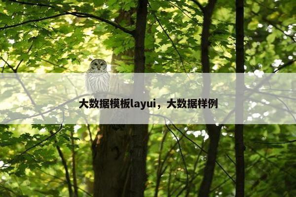 大数据模板layui，大数据样例