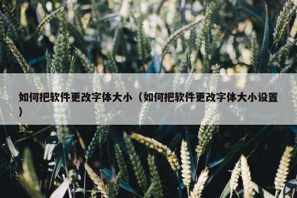 如何把软件更改字体大小（如何把软件更改字体大小设置）