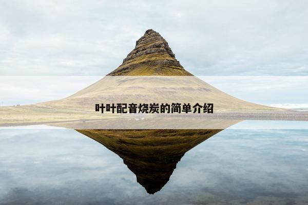 叶叶配音烧炭的简单介绍