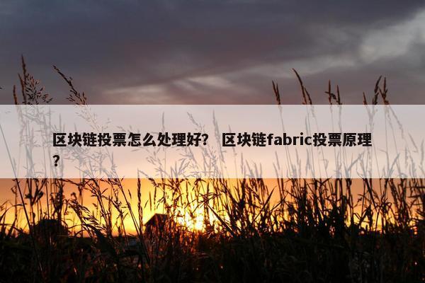 区块链投票怎么处理好？ 区块链fabric投票原理？
