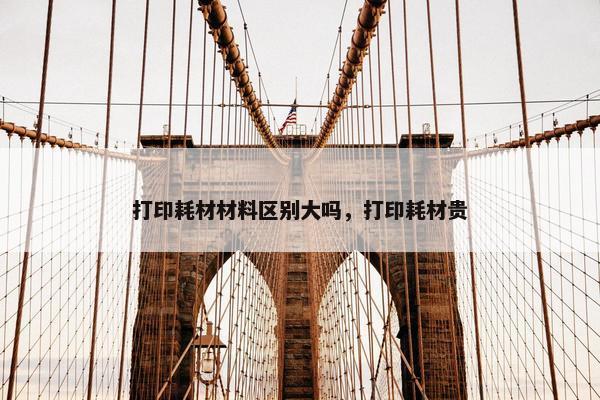 打印耗材材料区别大吗，打印耗材贵