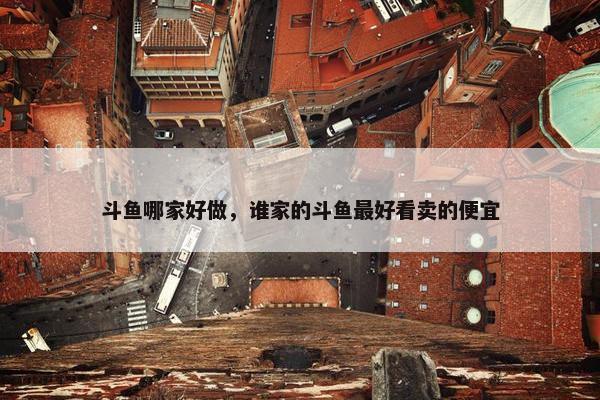 斗鱼哪家好做，谁家的斗鱼最好看卖的便宜