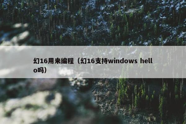 幻16用来编程（幻16支持windows hello吗）