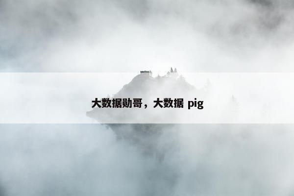 大数据勋哥，大数据 pig