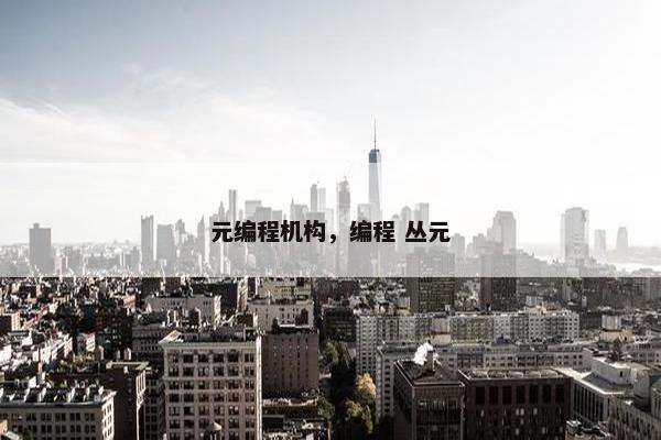 元编程机构，编程 丛元
