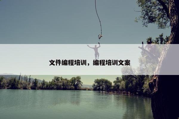 文件编程培训，编程培训文案