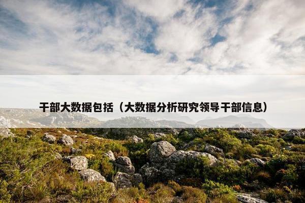 干部大数据包括（大数据分析研究领导干部信息）