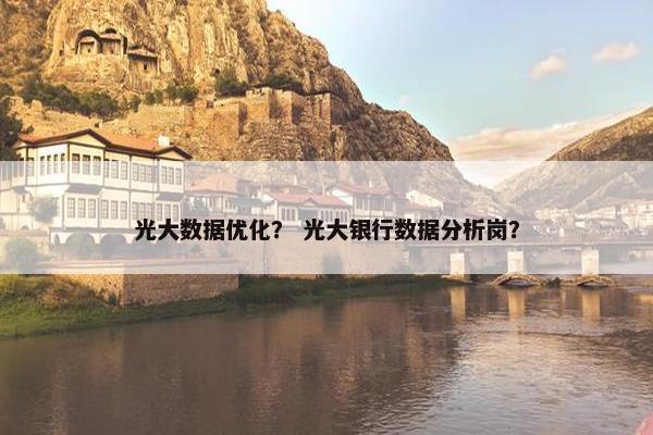 光大数据优化？ 光大银行数据分析岗？