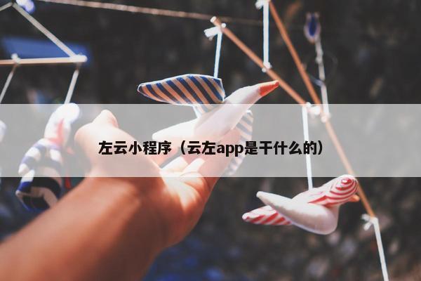 左云小程序（云左app是干什么的）