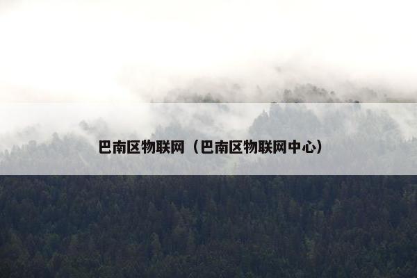 巴南区物联网（巴南区物联网中心）