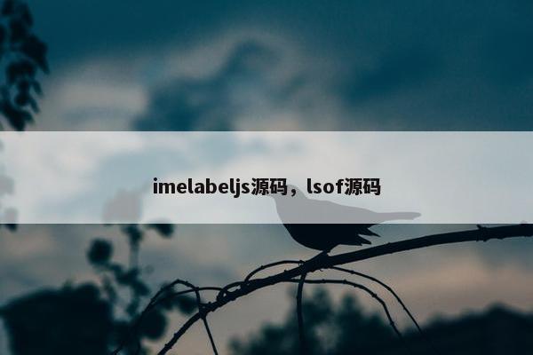 imelabeljs源码，lsof源码