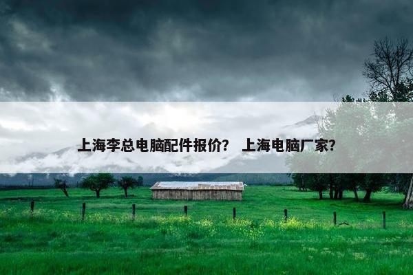 上海李总电脑配件报价？ 上海电脑厂家？