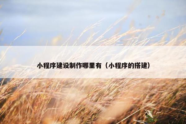 小程序建设制作哪里有（小程序的搭建）
