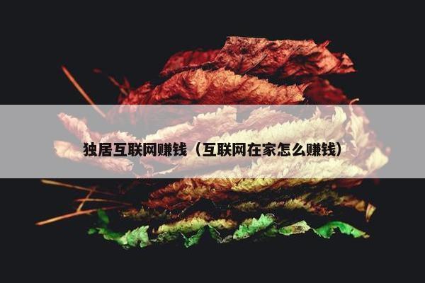 独居互联网赚钱（互联网在家怎么赚钱）