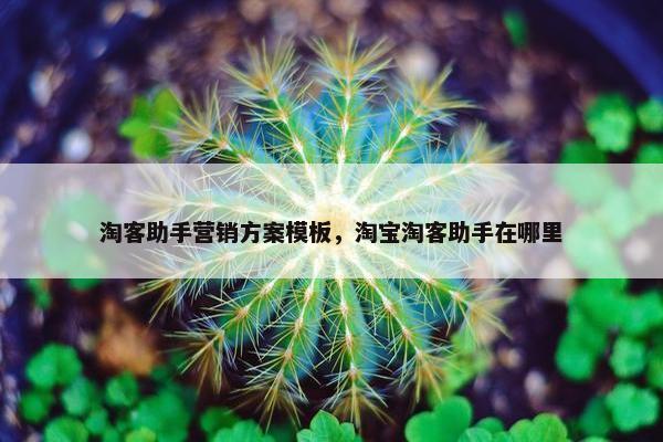 淘客助手营销方案模板，淘宝淘客助手在哪里