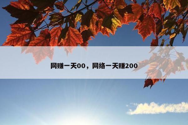 网赚一天00，网络一天赚200