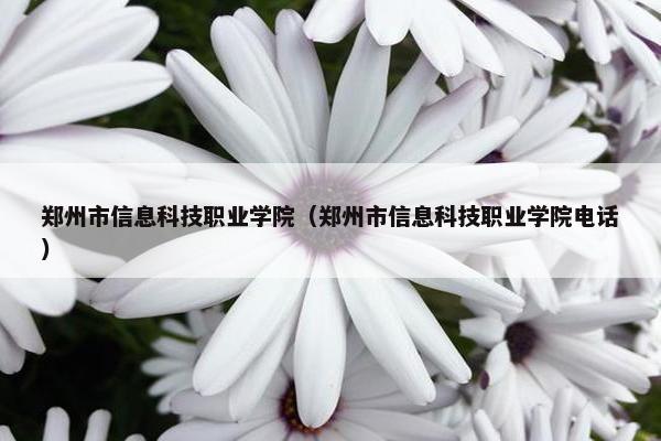 郑州市信息科技职业学院（郑州市信息科技职业学院电话）
