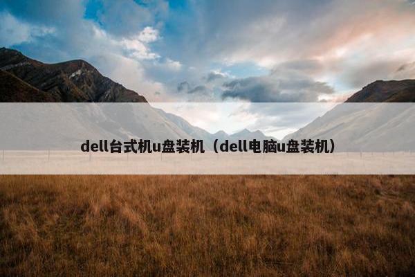 dell台式机u盘装机（dell电脑u盘装机）