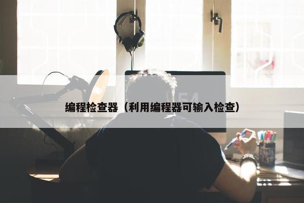 编程检查器（利用编程器可输入检查）