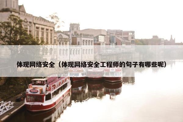 体现网络安全（体现网络安全工程师的句子有哪些呢）