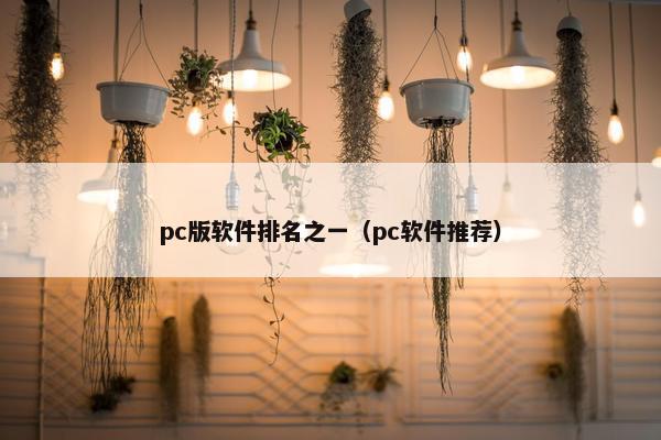 pc版软件排名之一（pc软件推荐）