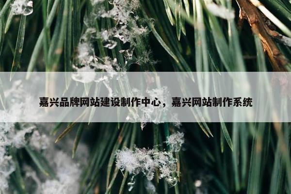 嘉兴品牌网站建设制作中心，嘉兴网站制作系统