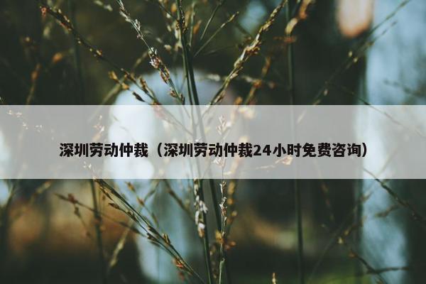深圳劳动仲裁（深圳劳动仲裁24小时免费咨询）