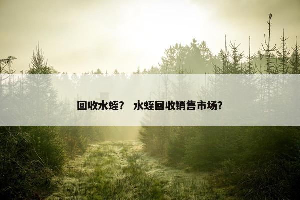 回收水蛭？ 水蛭回收销售市场？